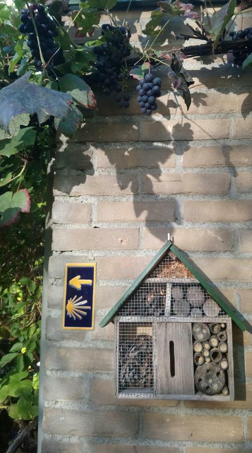B&B Aan Het Park 에인트호번 외부 사진